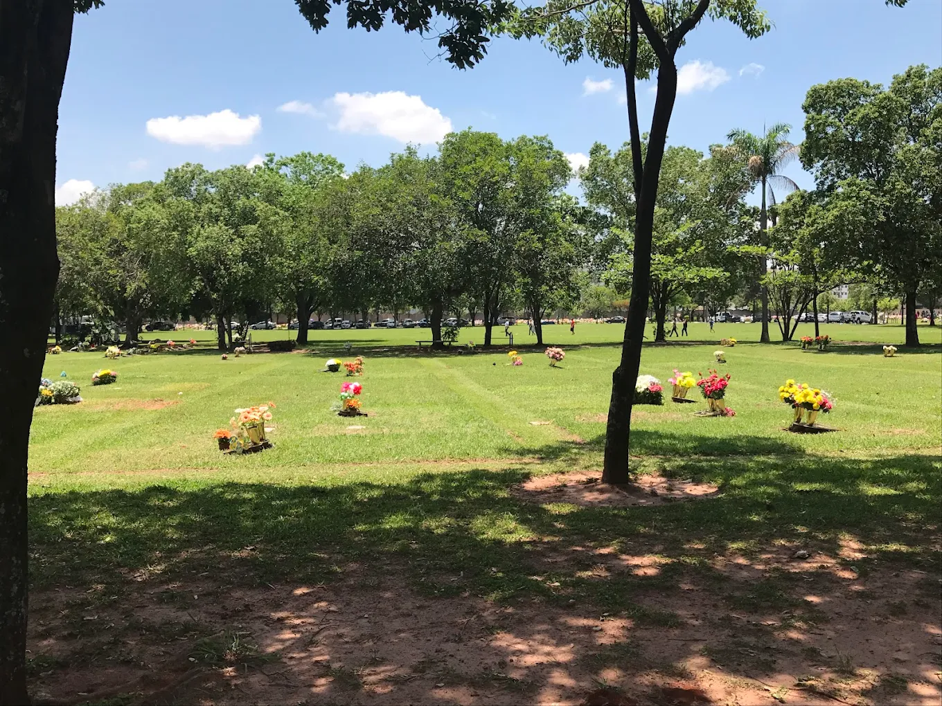Gramados e árvores nas áreas verdes do Jardim da Paz